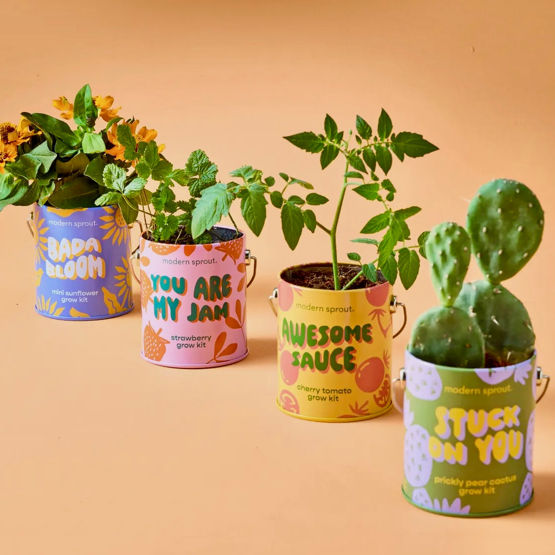 Complimentary Color Grow Kits