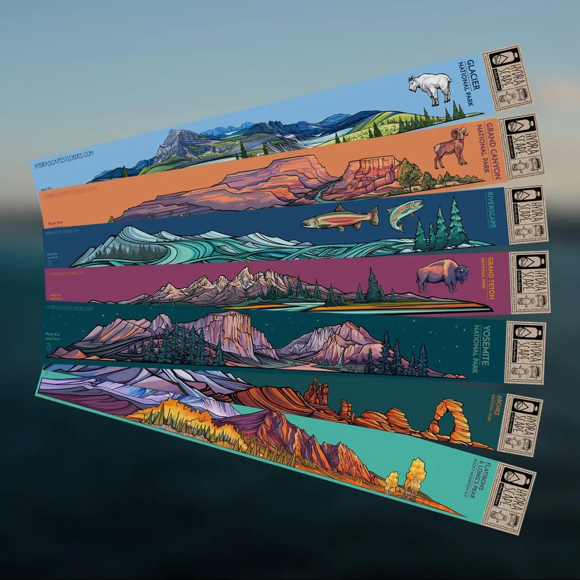Infinity Sticker Hydrascape Infinity Sticker – Tellico Goods and Gear