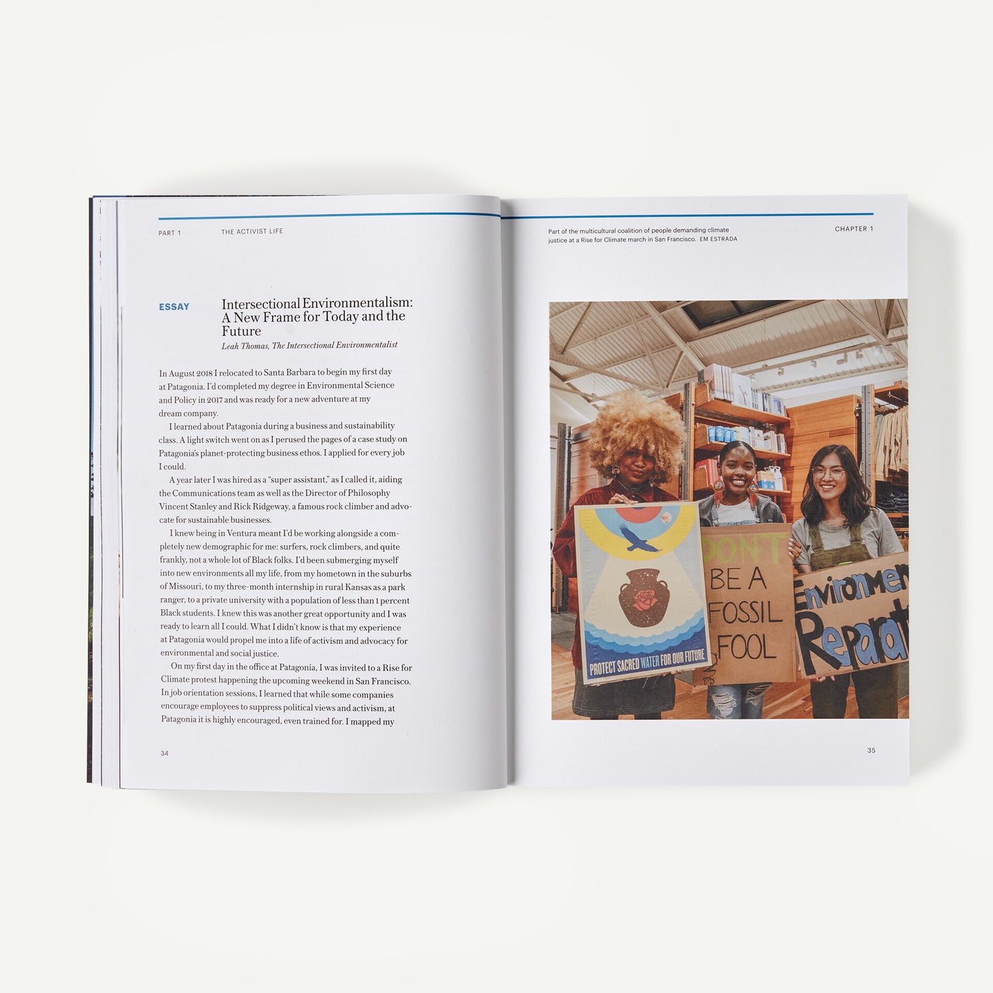 Tools to Save Our Home Planet: A Changemaker's Guidebook