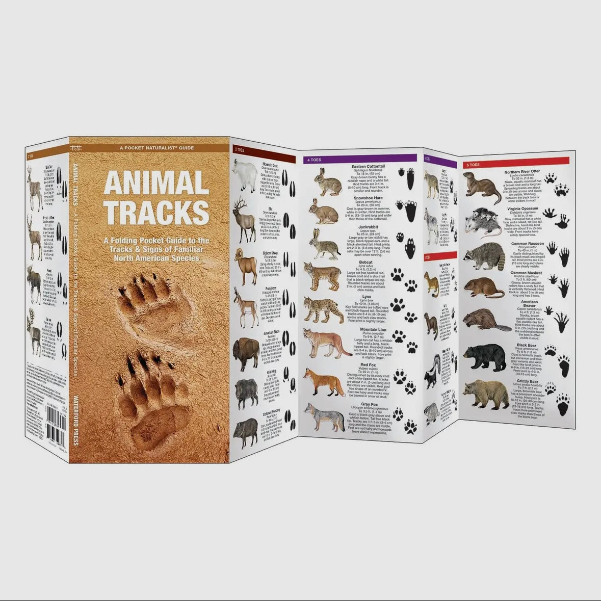 Waterford Press Pocket Guide – Tellico Goods and Gear