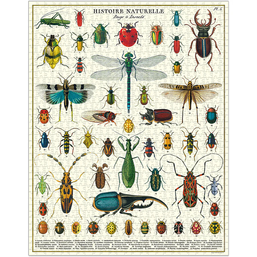 Cavallini & Co 1000 Piece Bugs and Insects Puzzle