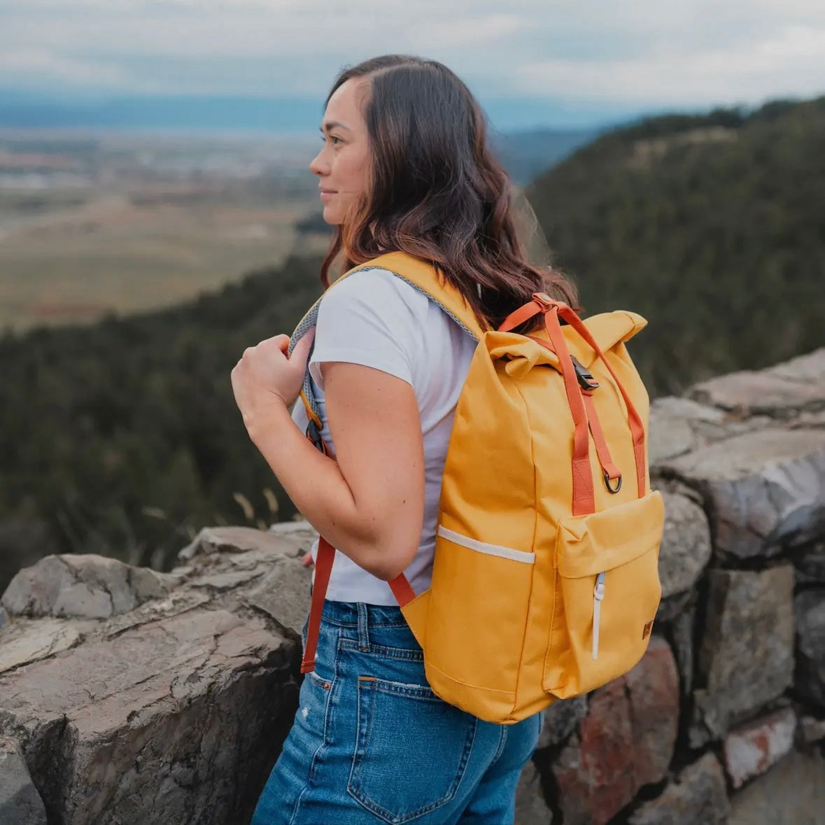 The Montana Scene Adventure Backpack