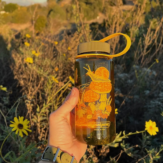 Mustard Beetle Illustration Toad & Mushrooms, 16oz Wide Mouth Nalgene Water Bottle