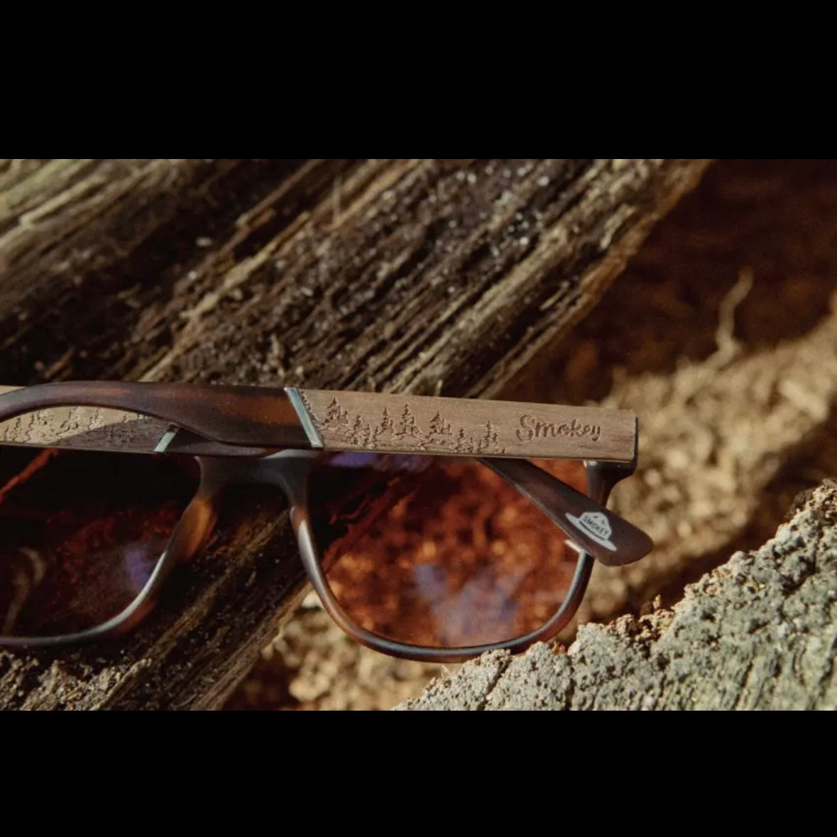 Smokey Bear X CAMP Sunglasses