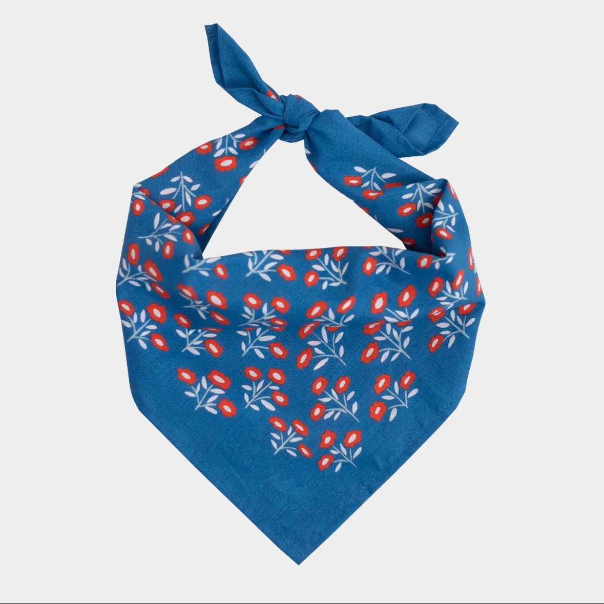 Handker Bandana 100% Organic Cotton 22" x 22"
