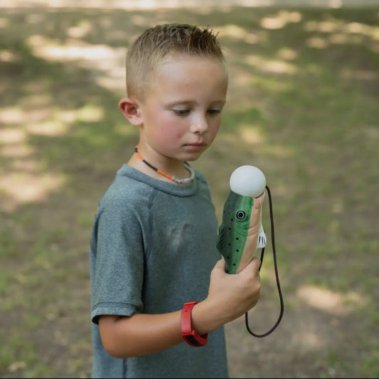 Fish & Ball Catch Game