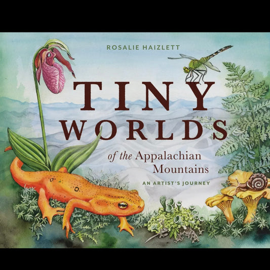 Tiny Worlds of the Appalachian Mountains
