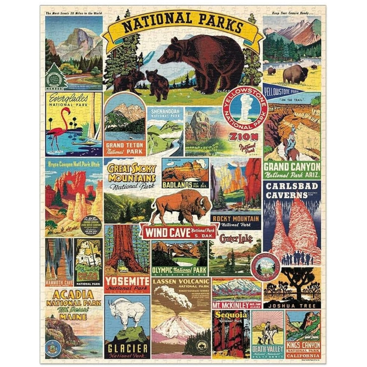 Cavallini & Co National Parks 1,000 Piece Puzzle