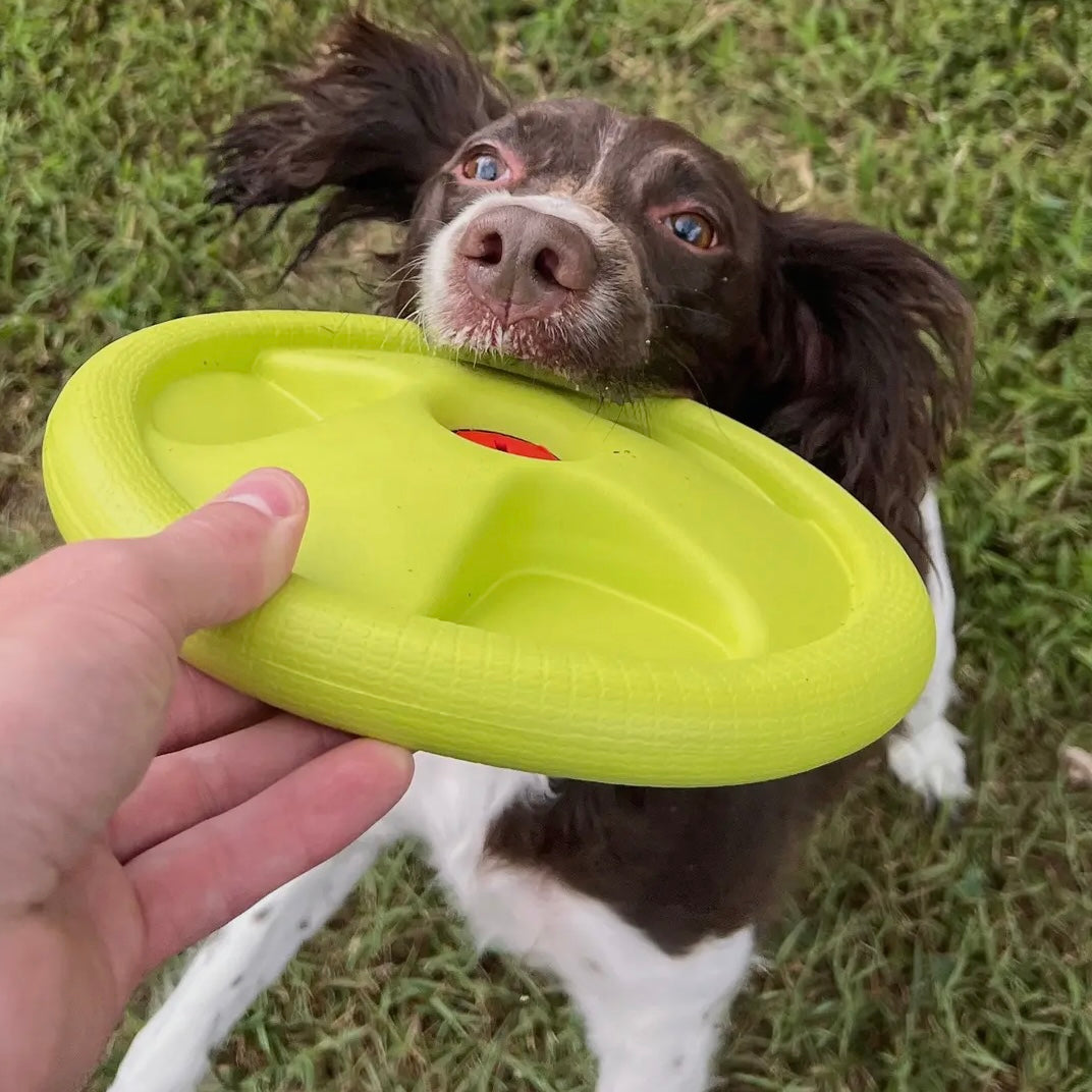 AlphaPak Harley Flyer Frisbee