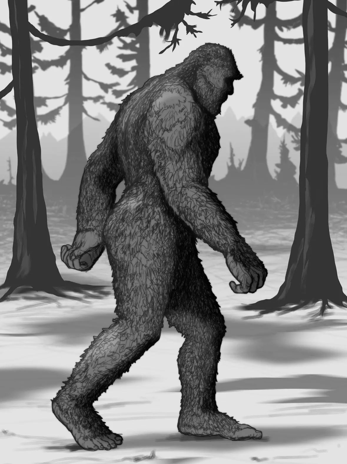 The Sasquatch Seeker's Field Manual by David George Gordon