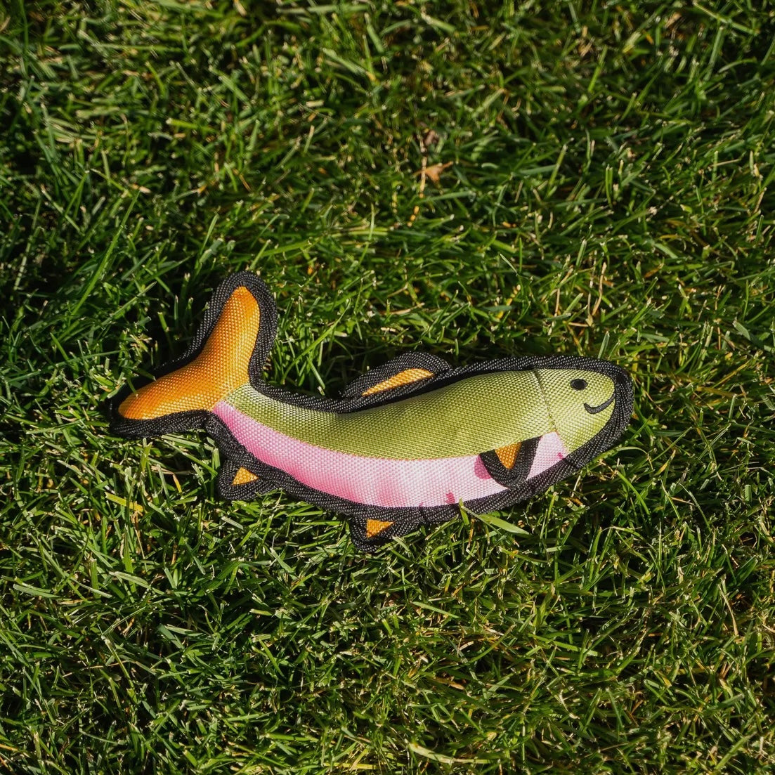 The Montana Scene Fish Dog Toy