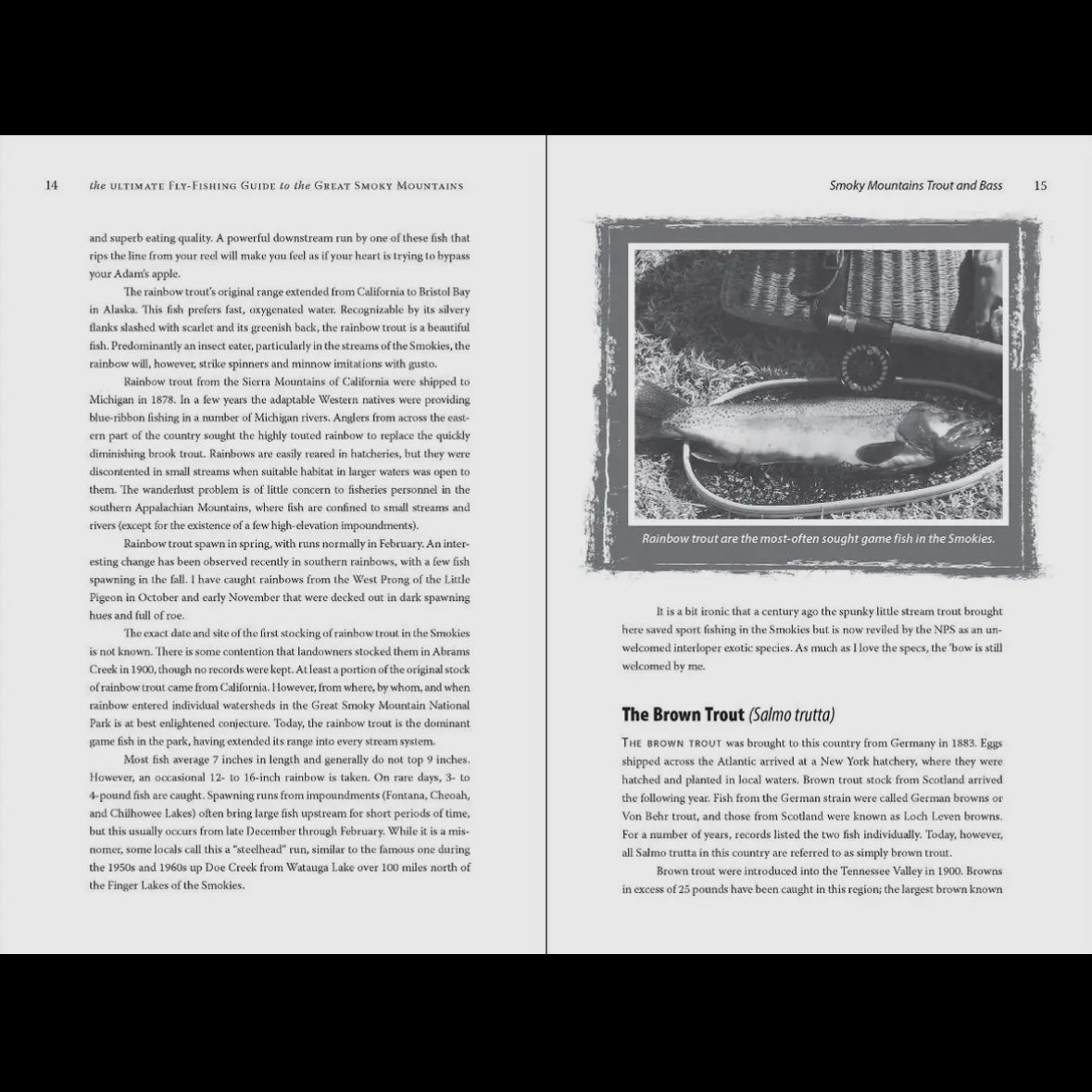 Ultimate Fly-Fishing Guide To the Great Smoky Mountains