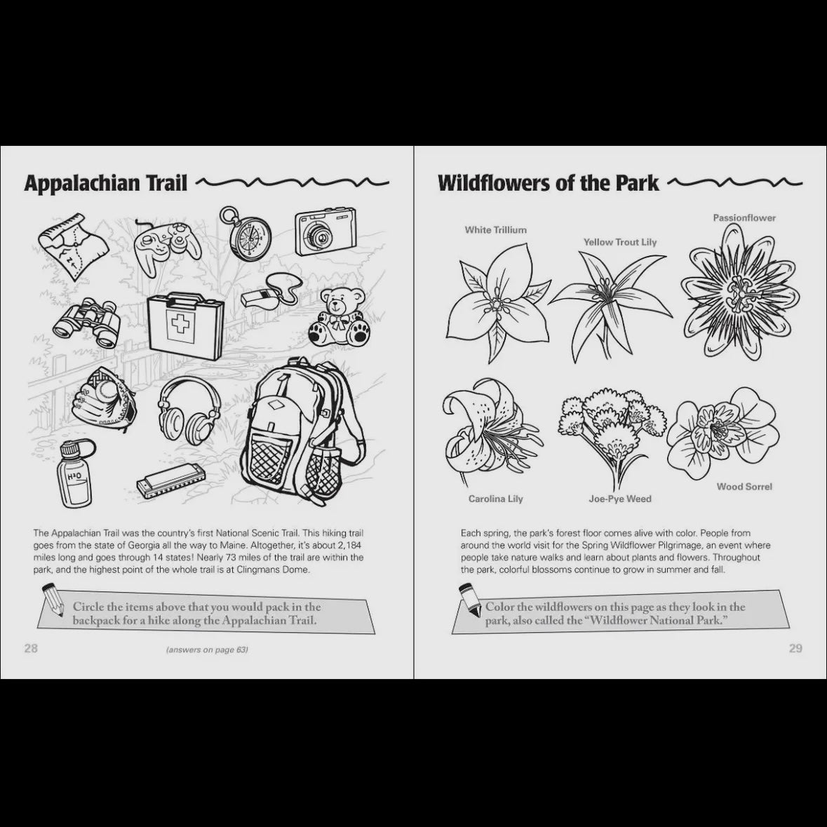 Great Smoky Mountains Activity Book