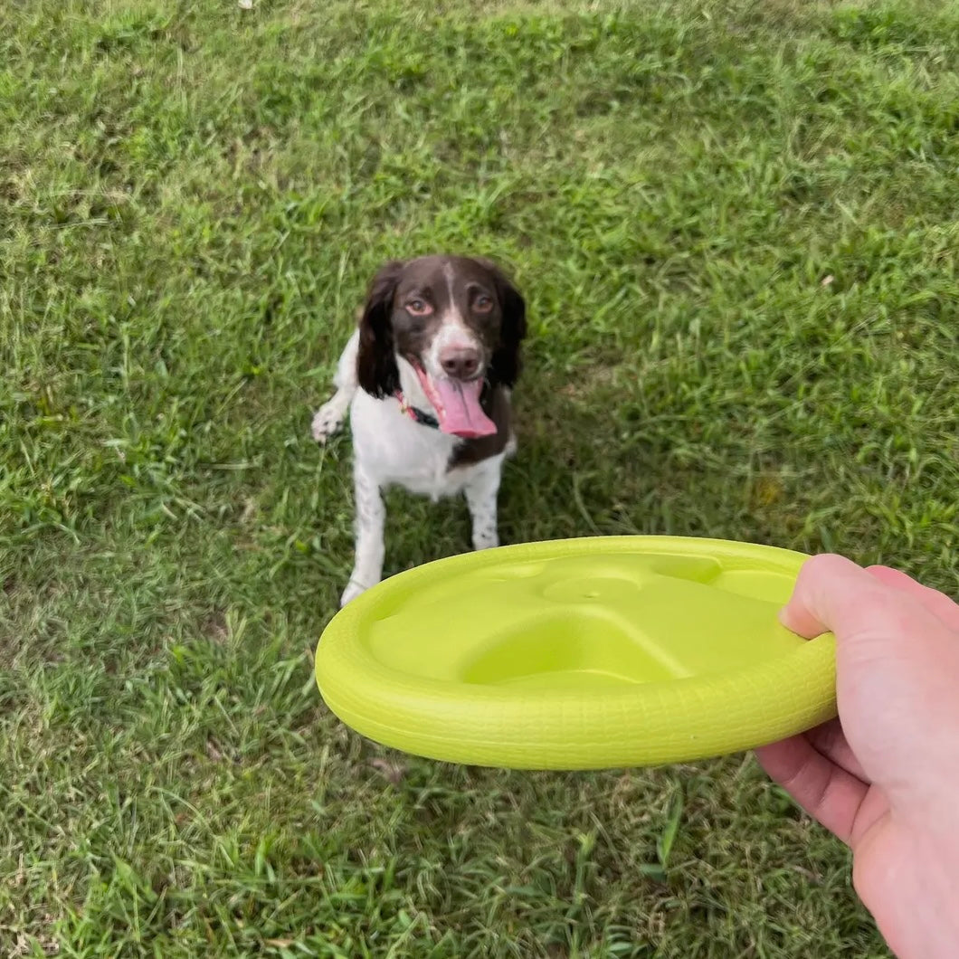 AlphaPak Harley Flyer Frisbee