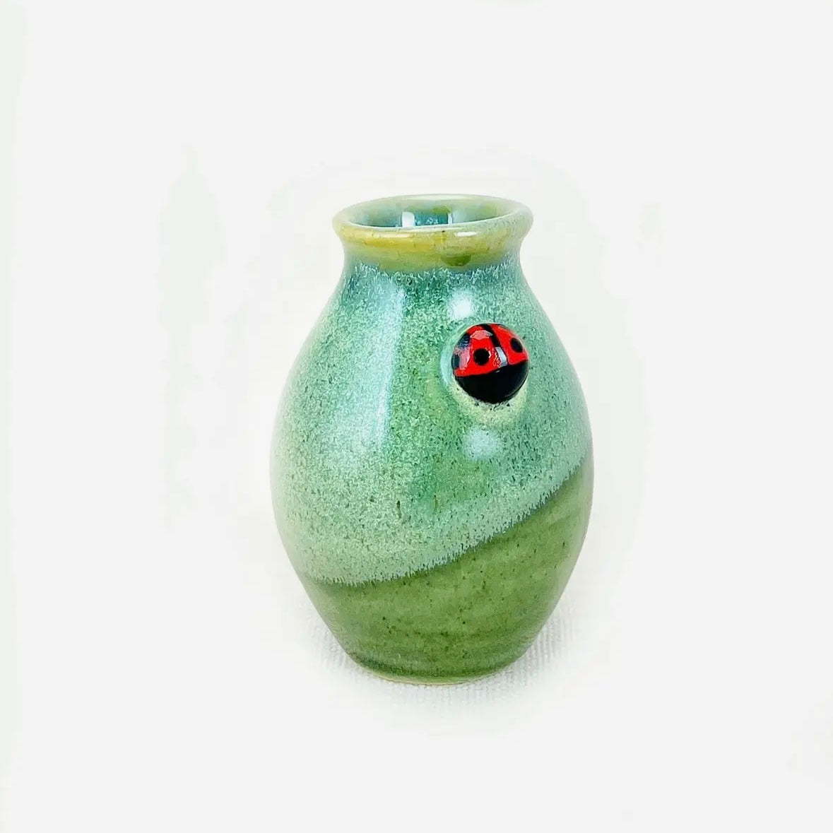 Bug Pottery Parent Pot
