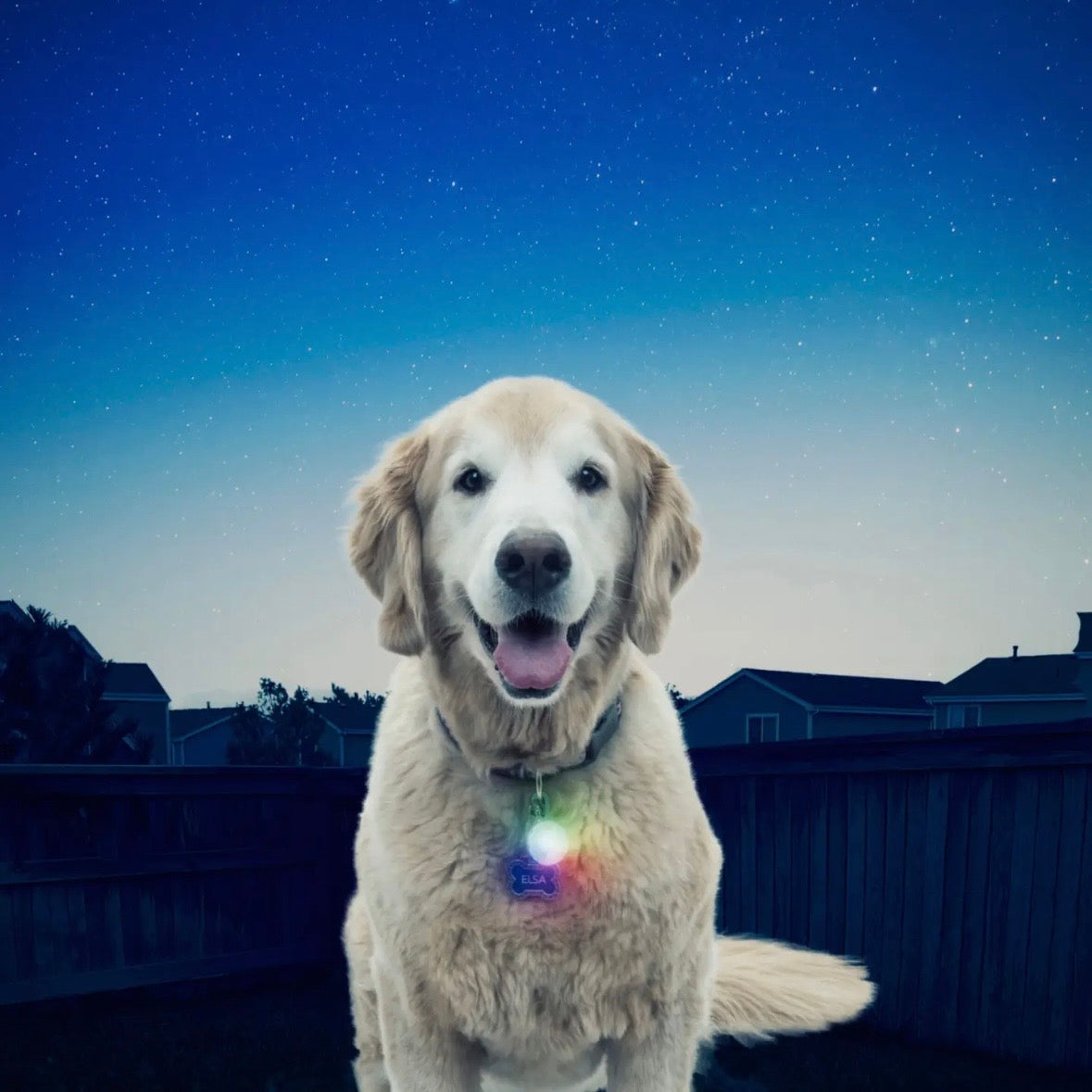 Nite Ize Spotlit® Collar Light - Disc-O Select™