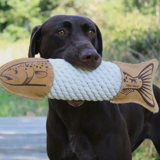 Natural Leather Trout Rope Tug Dog Toy - 15"