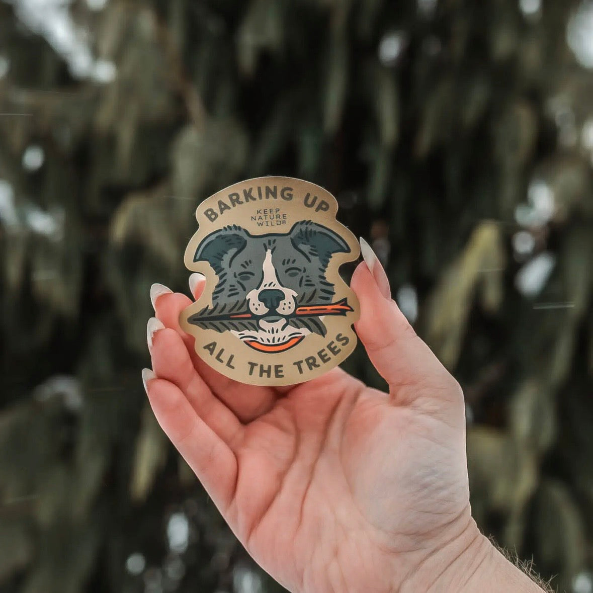 Keep Nature Wild | Sticker