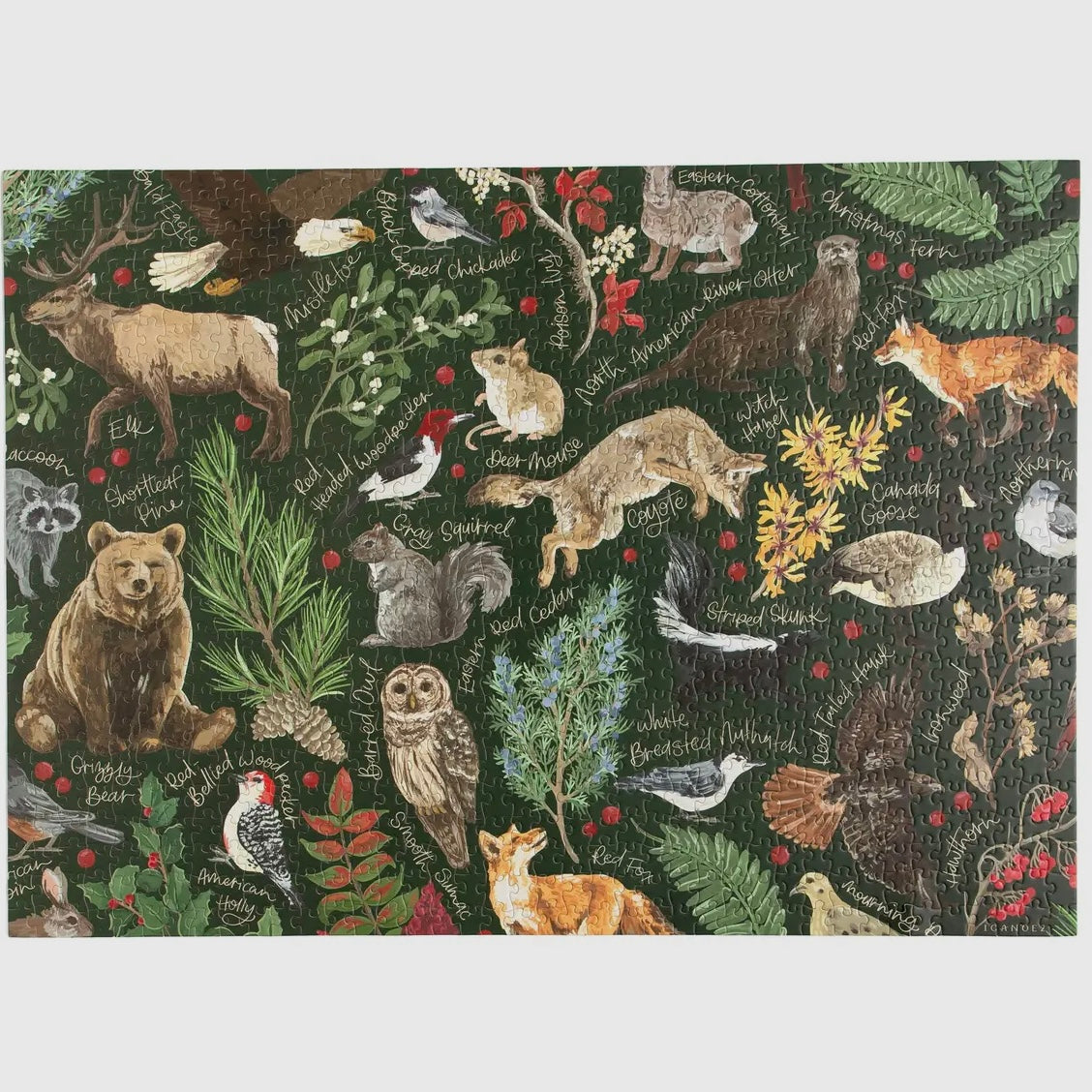 Winter Flora & Fauna - 1,000 Piece
Jigsaw Puzzle