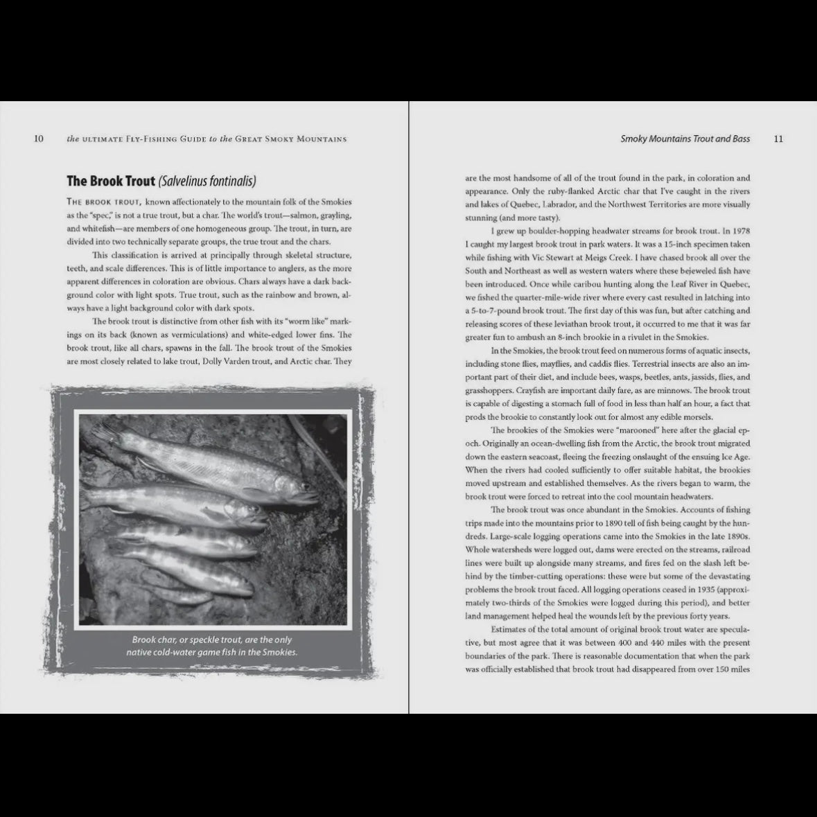 Ultimate Fly-Fishing Guide To the Great Smoky Mountains