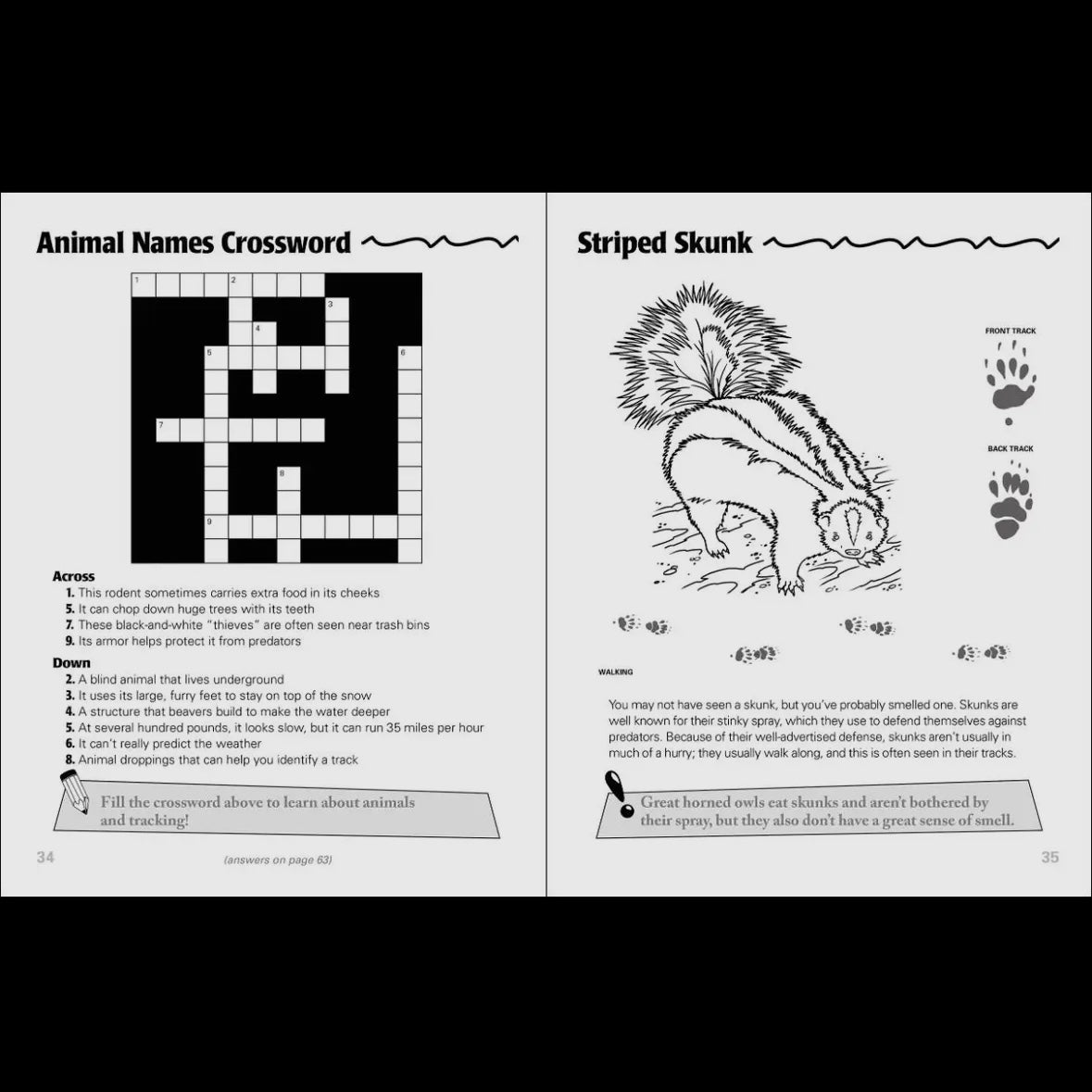 Animal Tracks Activity Book