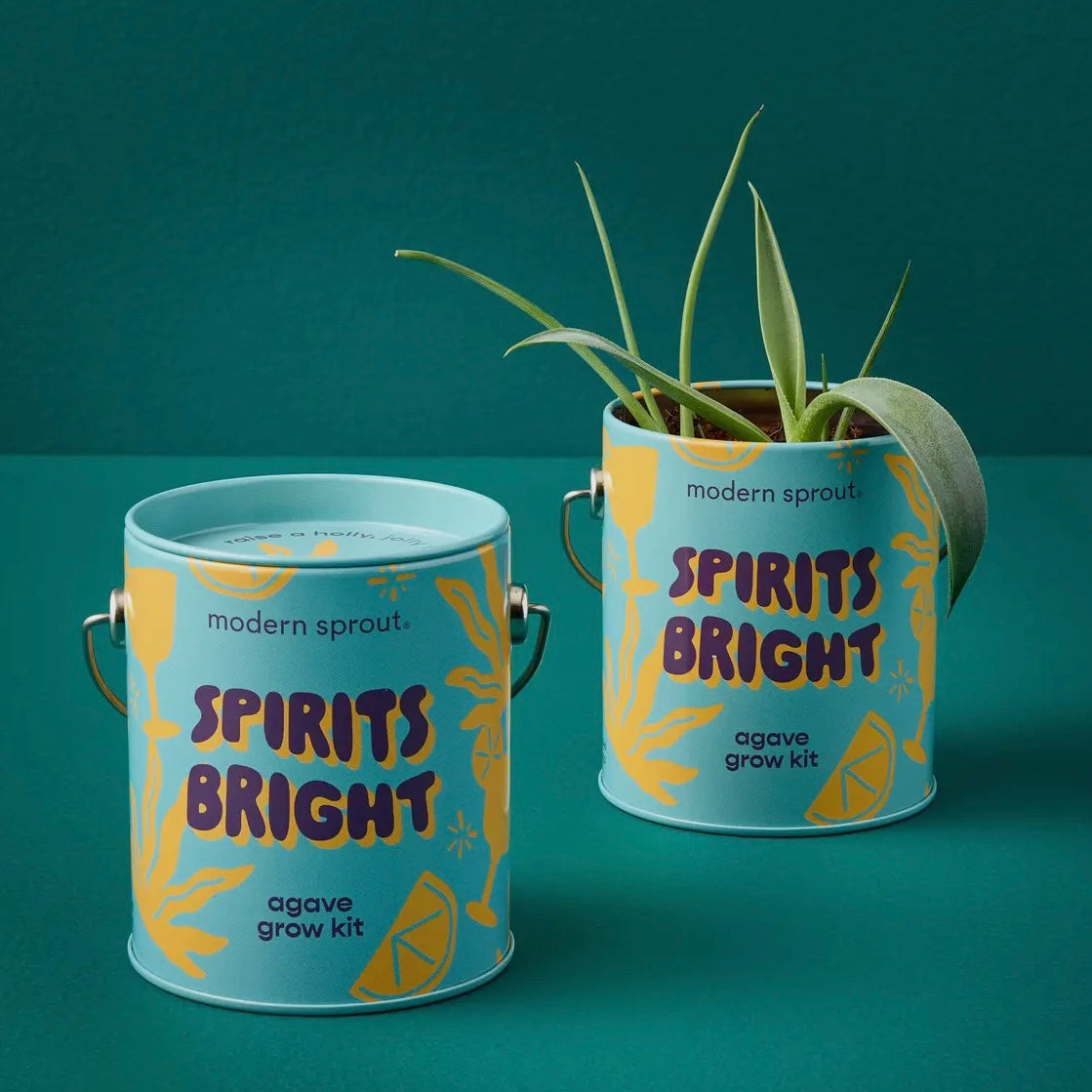 Holiday Complimentary Colors
Grow Kits
