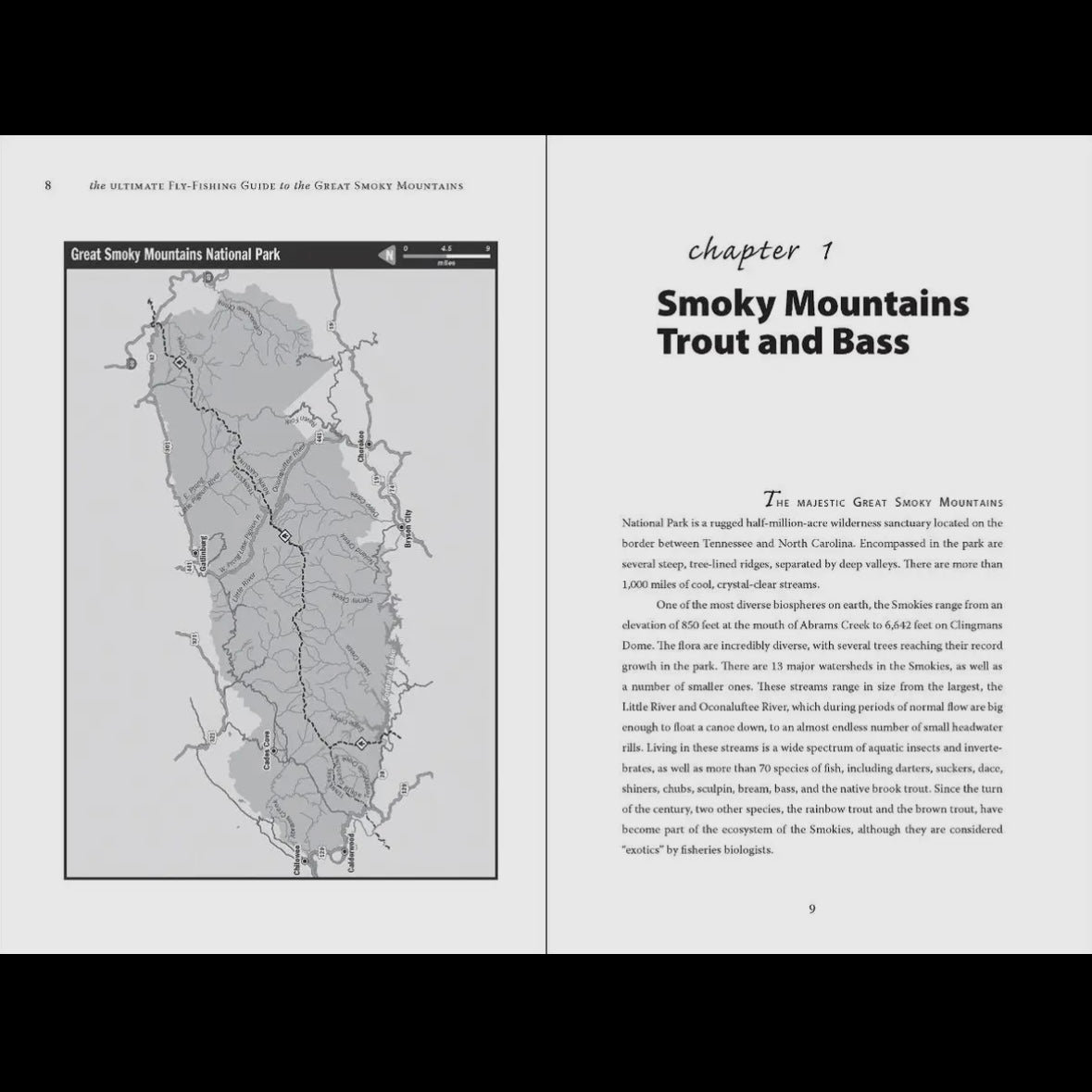 Ultimate Fly-Fishing Guide To the Great Smoky Mountains