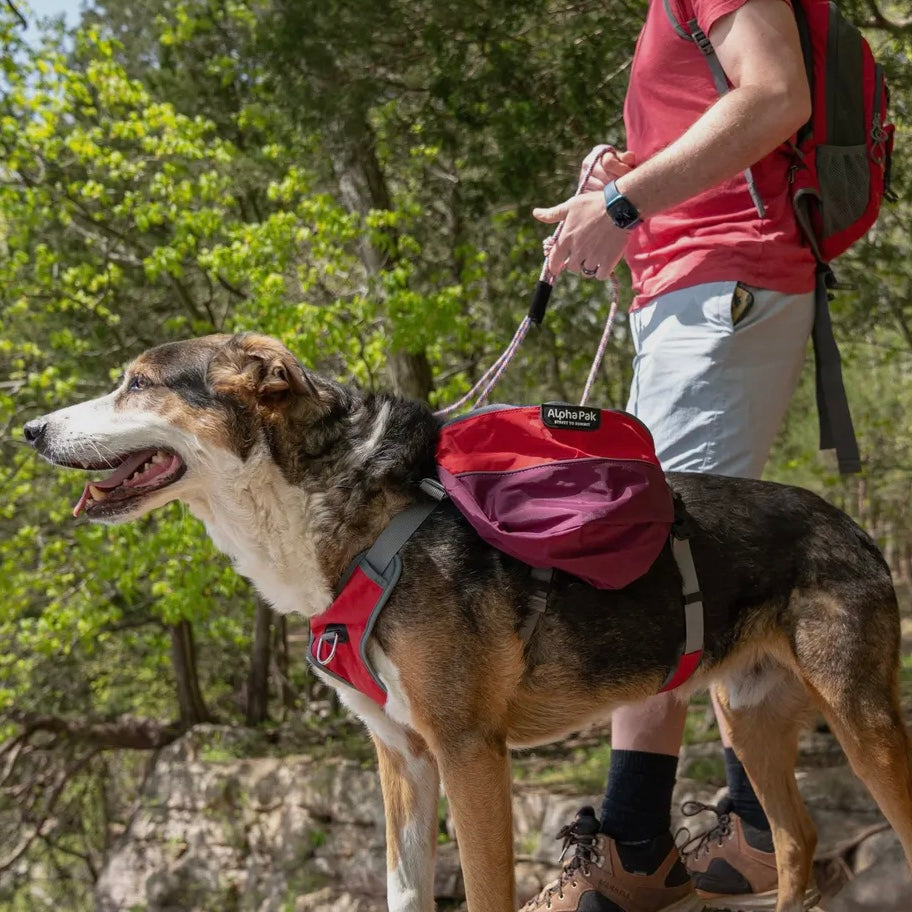 AlphaPak Adventurer 2-piece Dog Pack With EZ Latch™ Harness - SUNSET