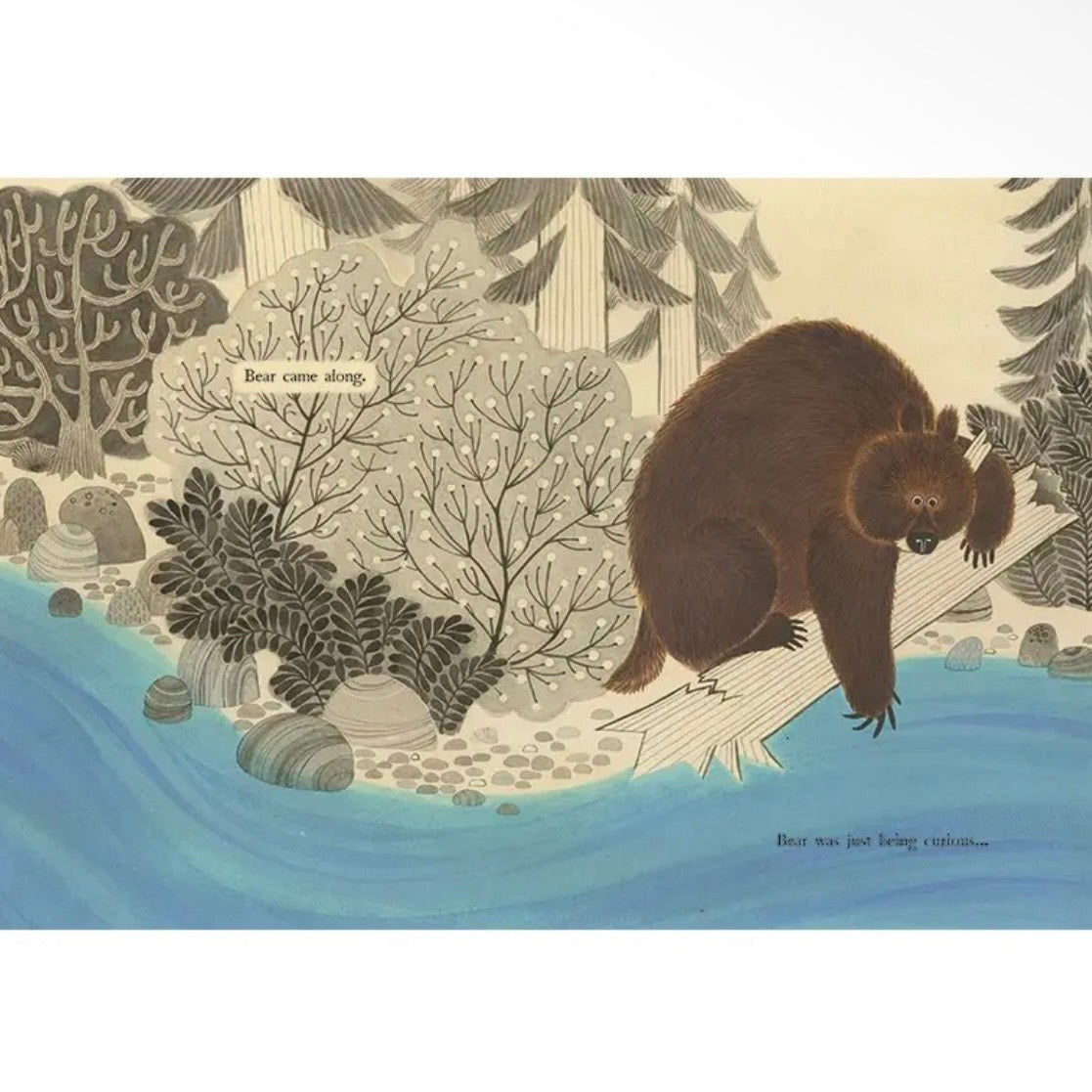Bear Came Along - Hardcover