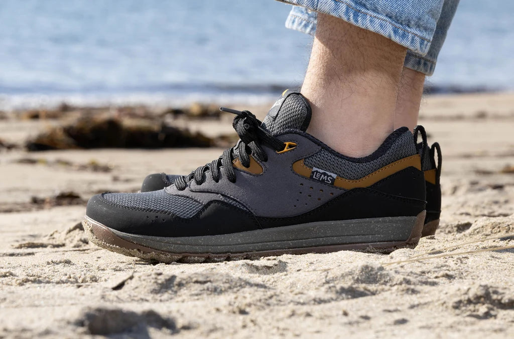Lems Trail Blazer Knightfall
