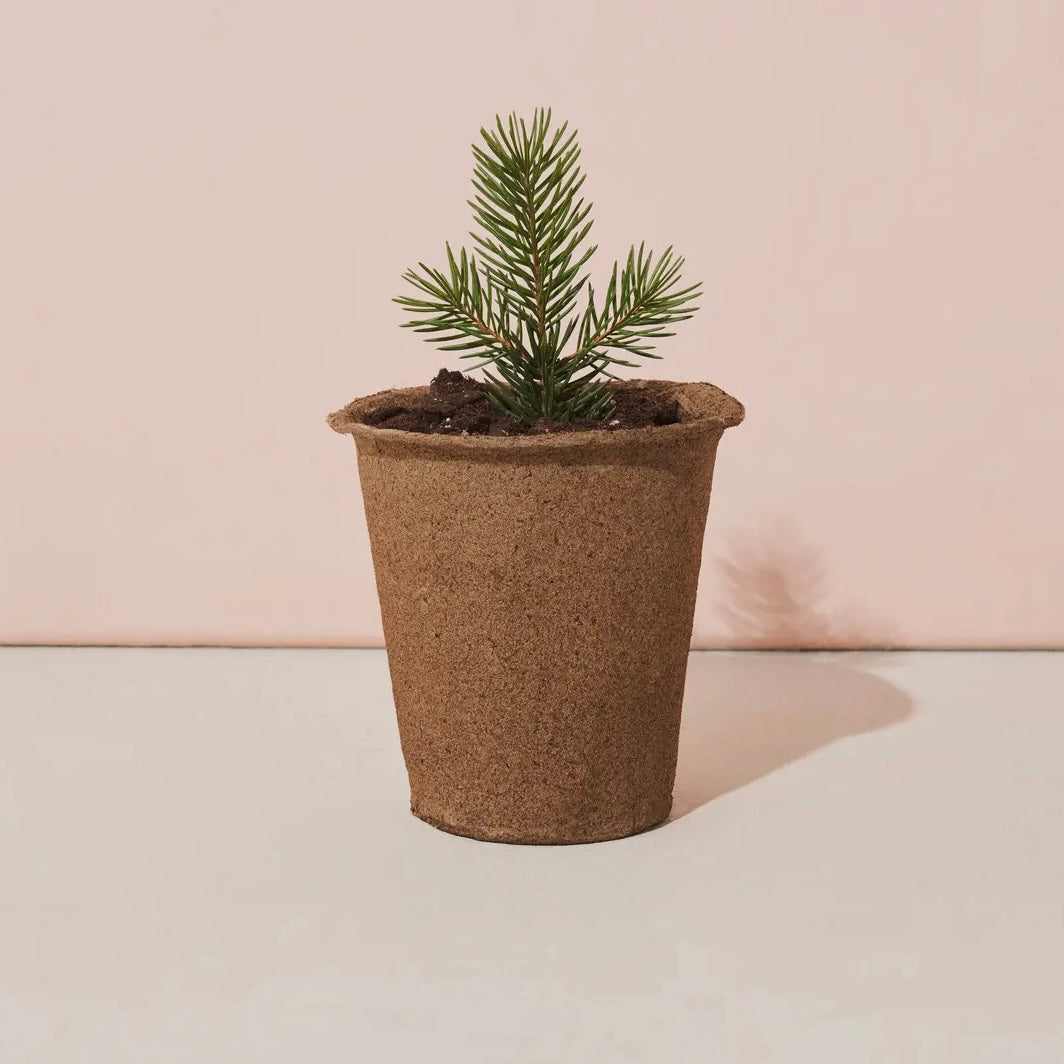 One-For One Tree Kit