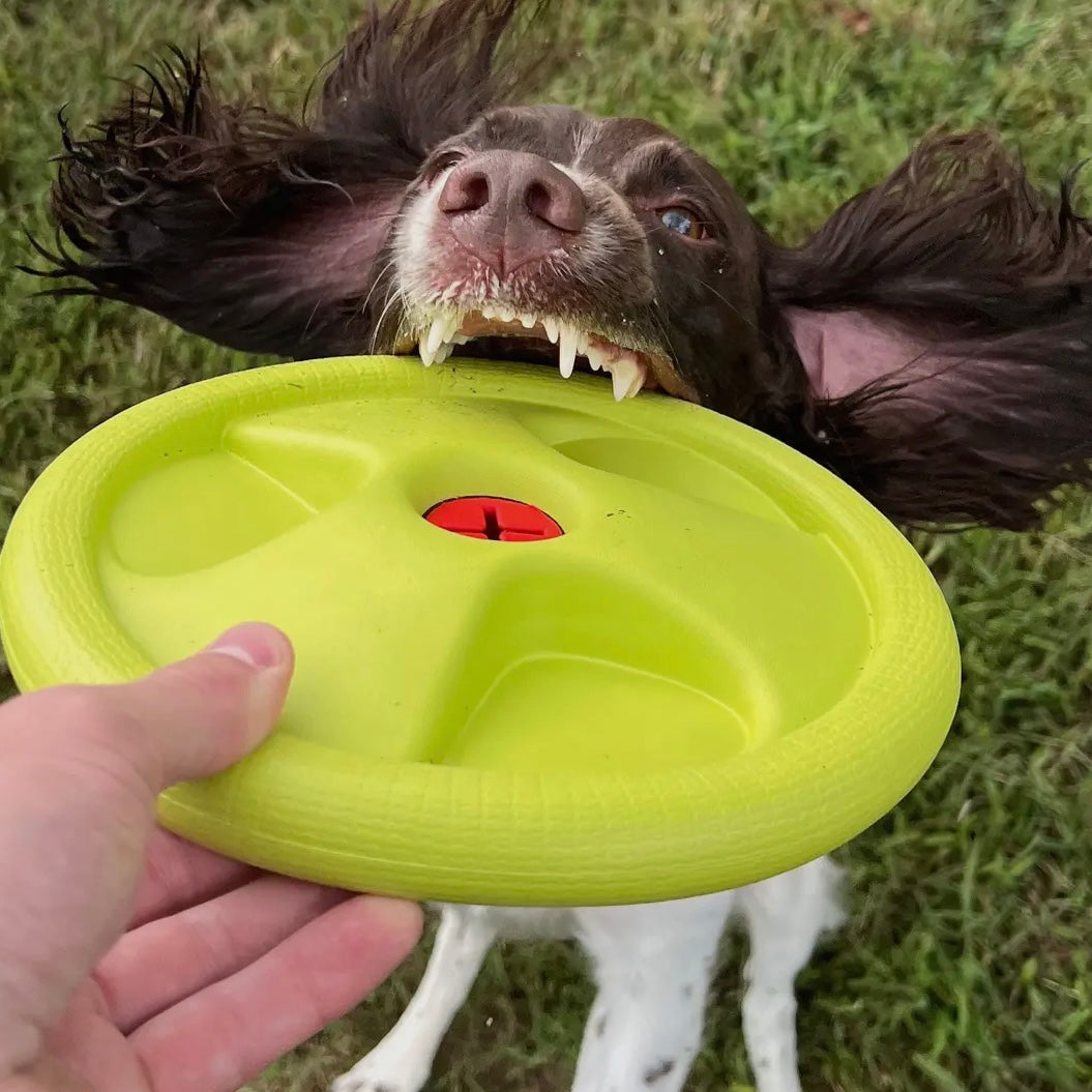 AlphaPak Harley Flyer Frisbee