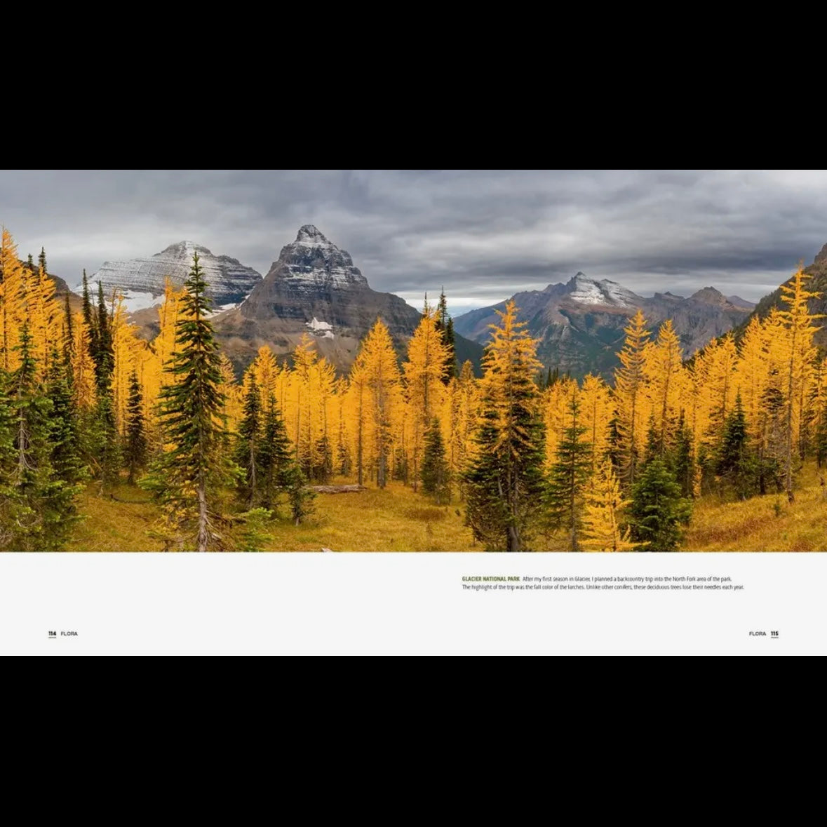 Parklands: America’s National Parks and Public Lands