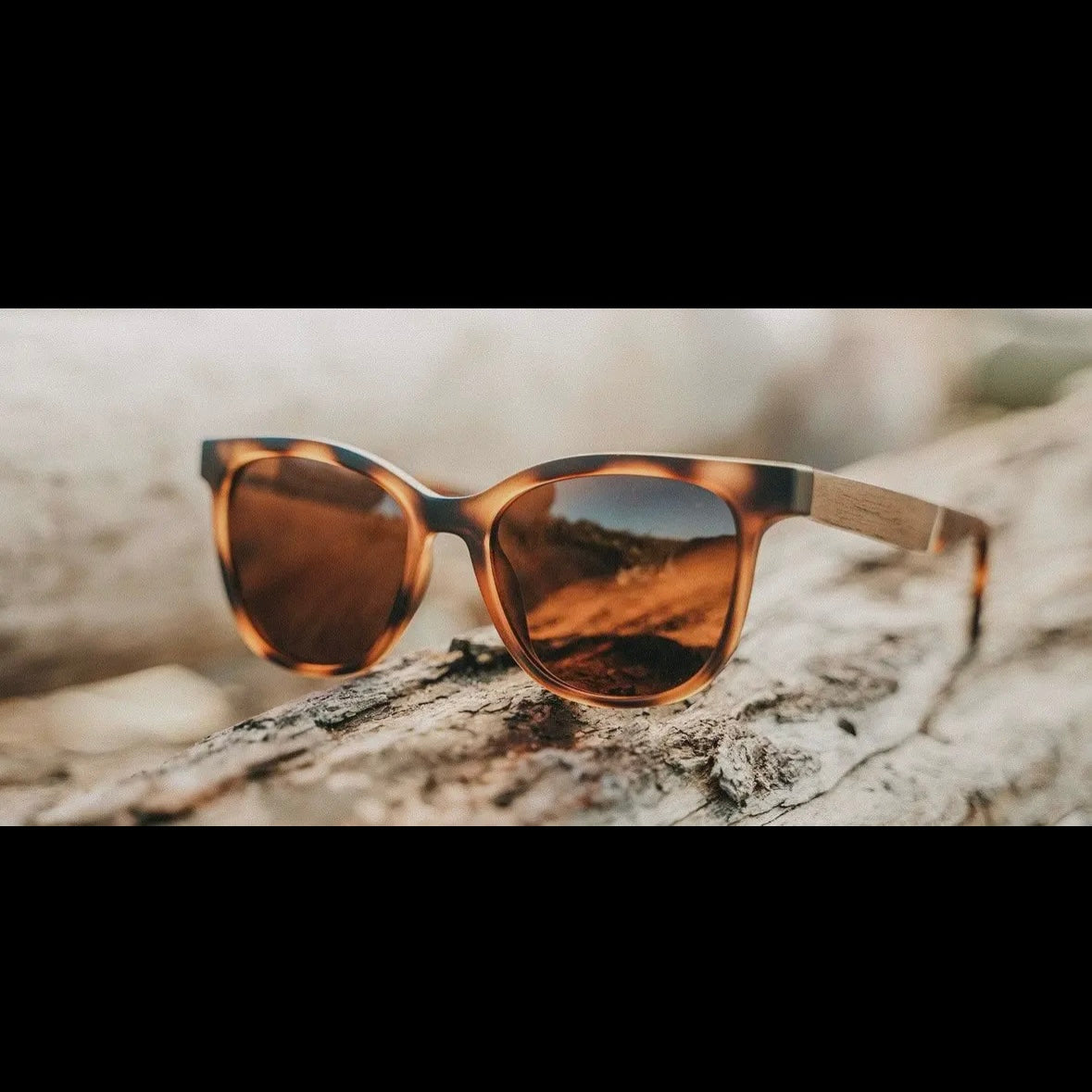 CAMP Cove Sunglasses