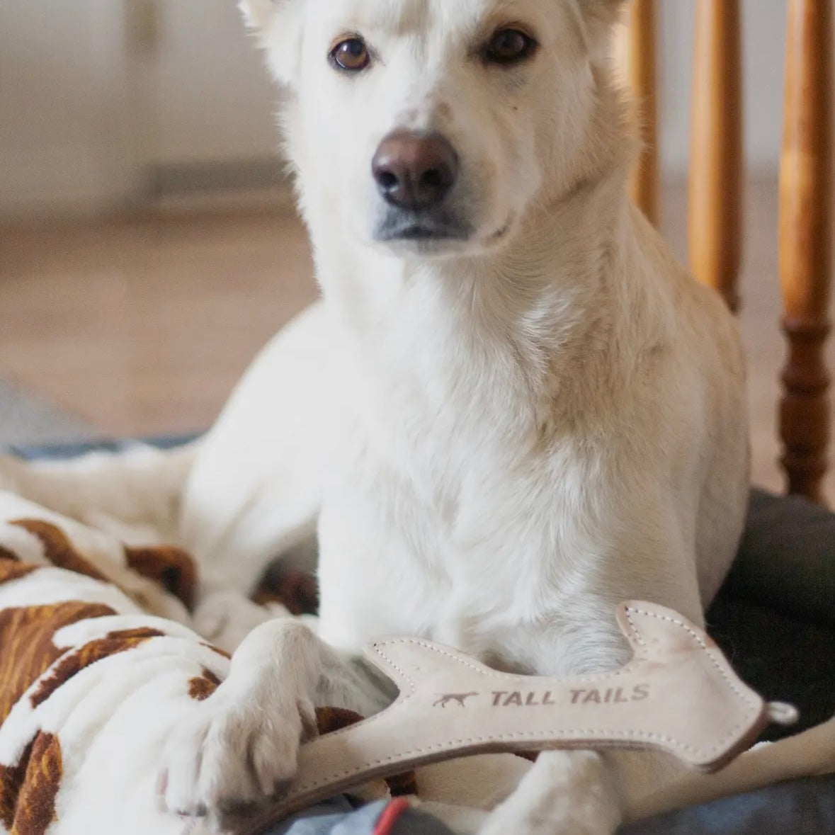 Tall Tails Natural Leather Antler Dog Toy - 11"