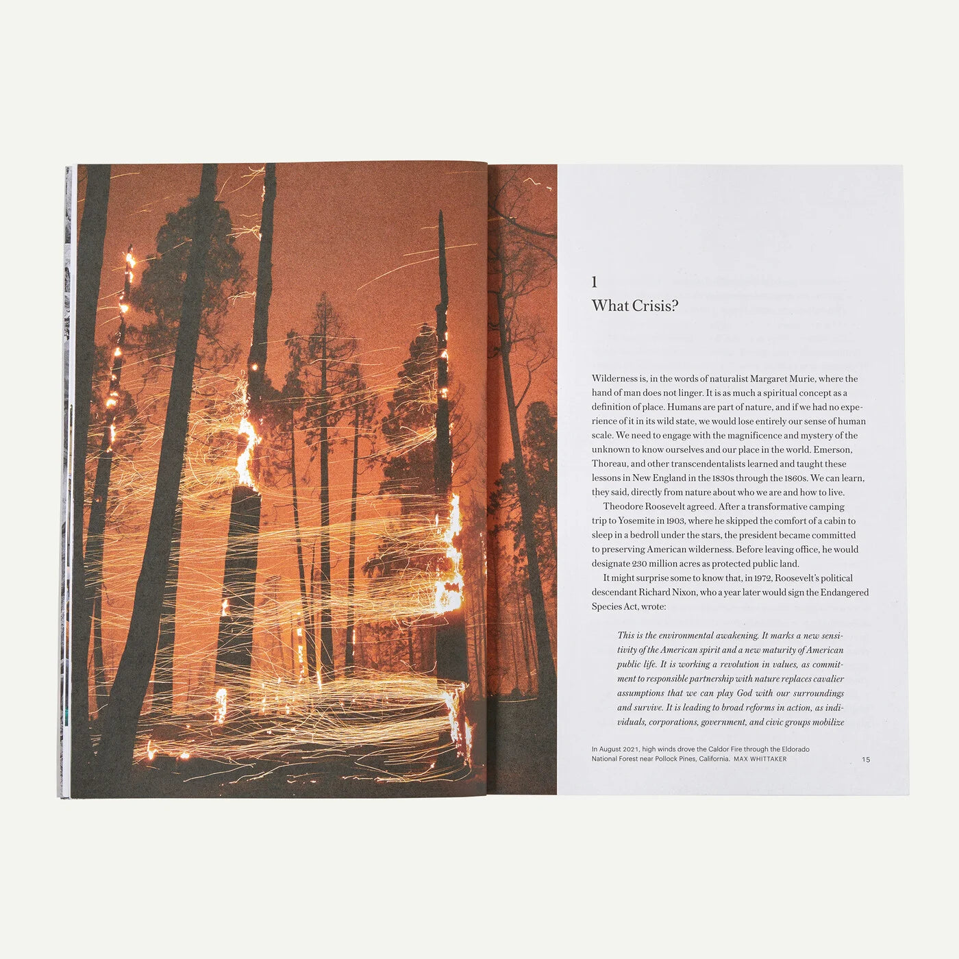The Future of the Responsible Company: What We've Learned from Patagonia's First 50 Years