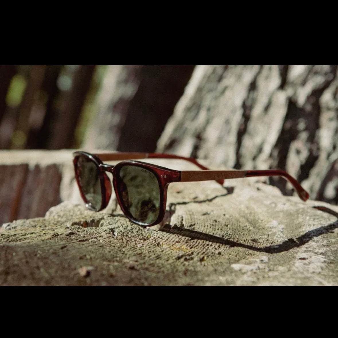 Smokey Bear X CAMP Sunglasses