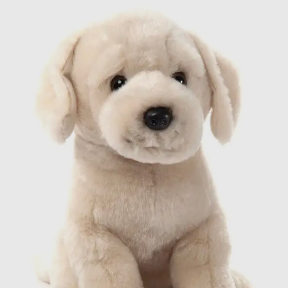 The Petting Zoo Stuffed Animal