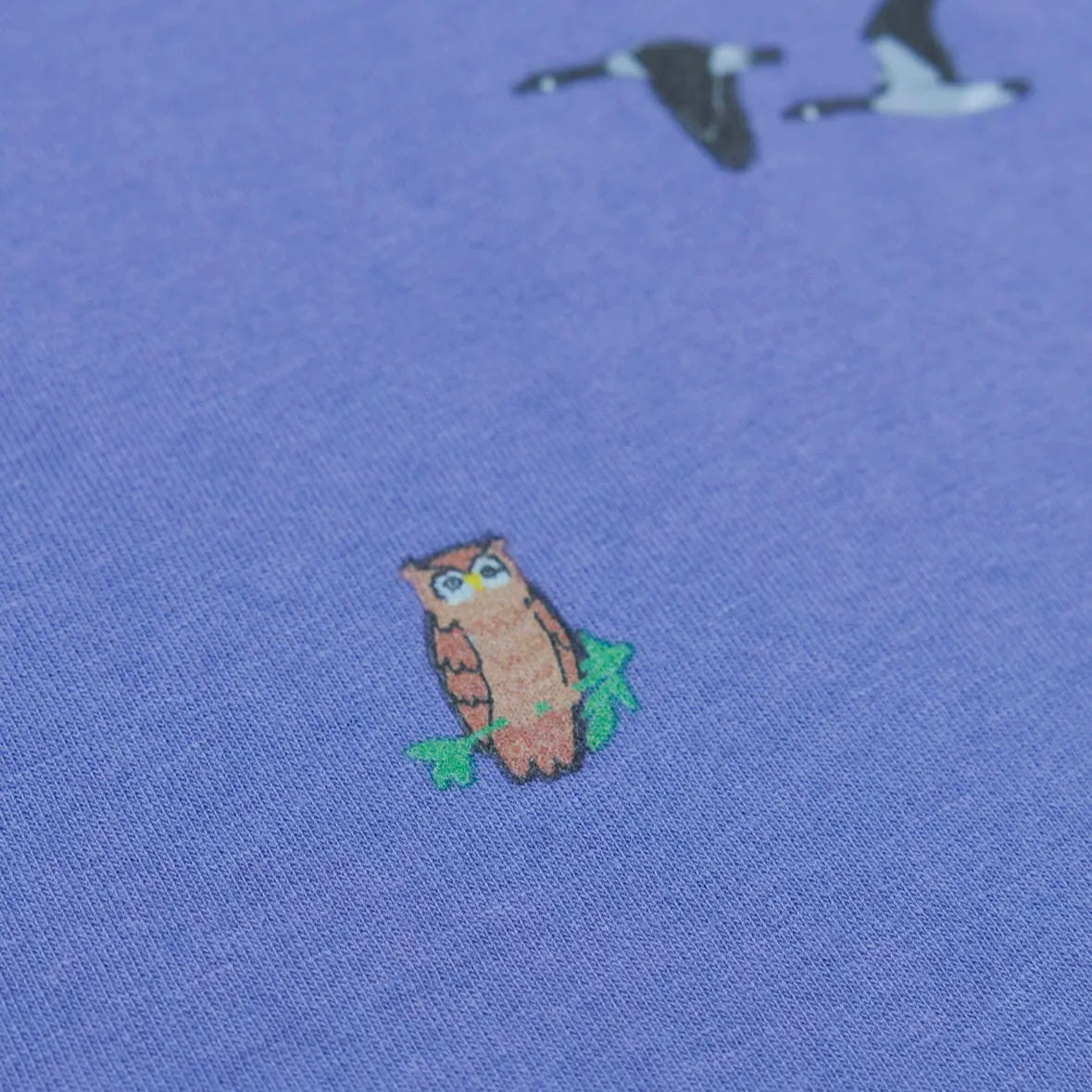 Parks Project Naturalist Club Boxy Tank