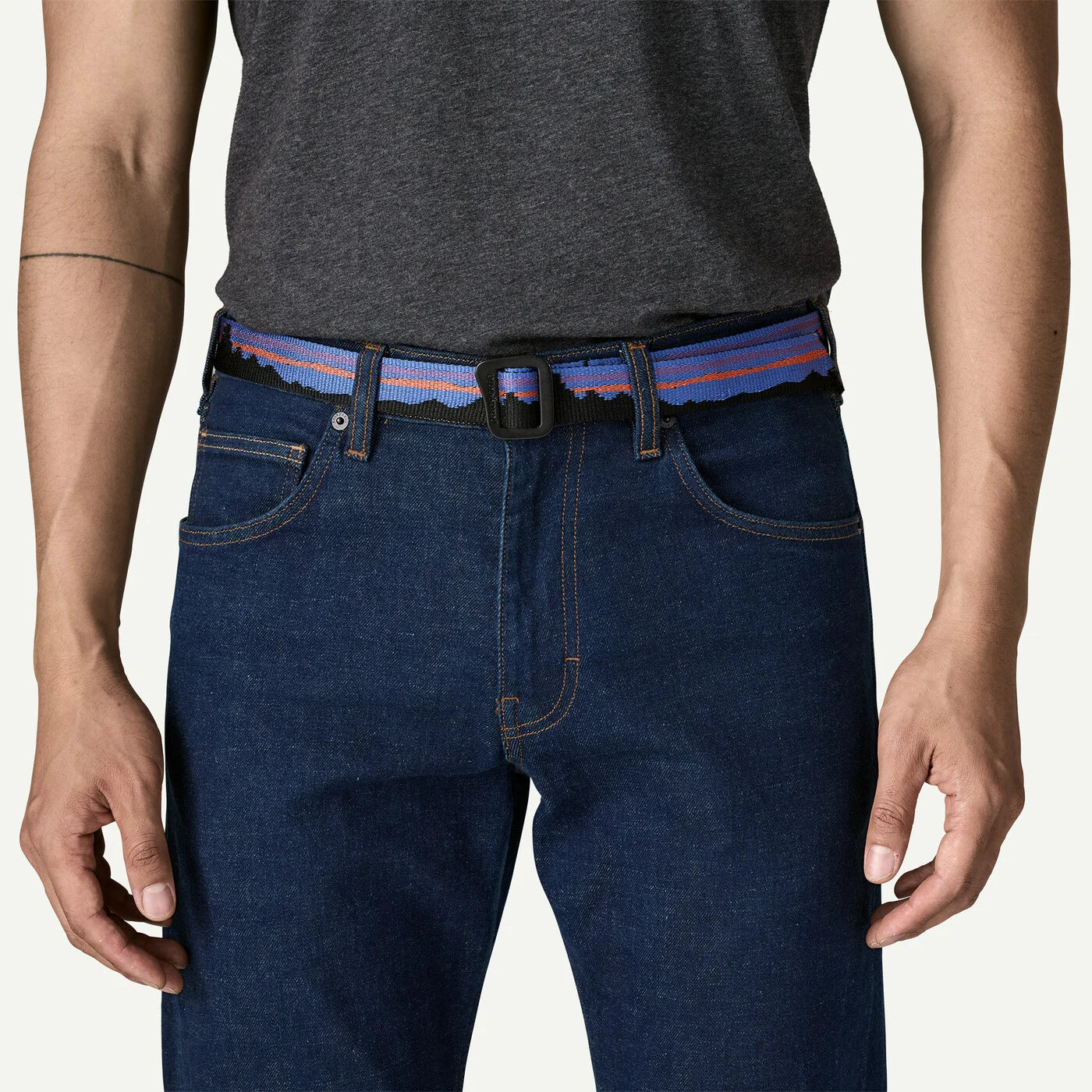 Patagonia Friction Belt