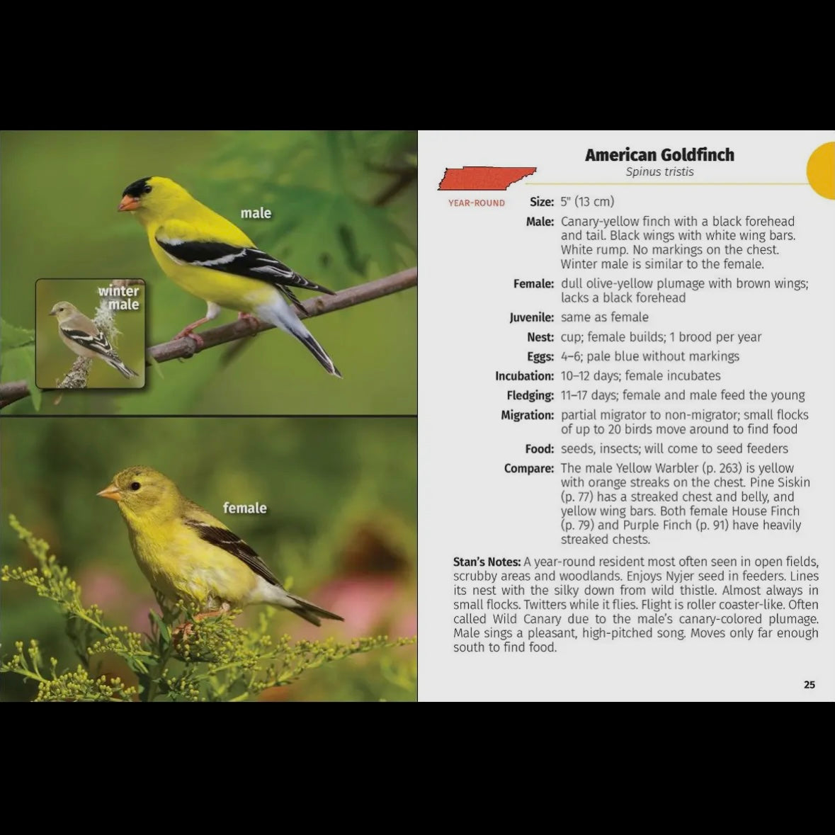 Birds of Tennessee Field Guide 2nd Edition by Stan Tekiela