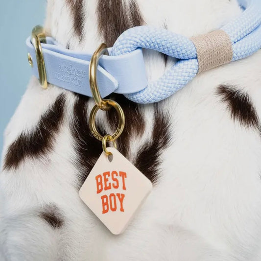 Pet Tag