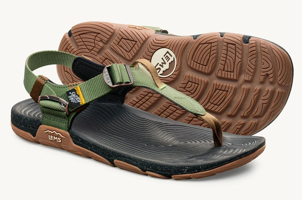 Lems Switchback Cactus