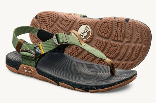 Lems Switchback Cactus