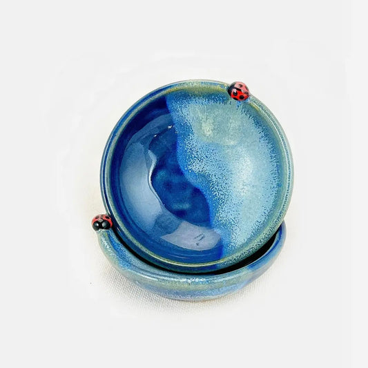 Bug Pottery Spice Bowl
