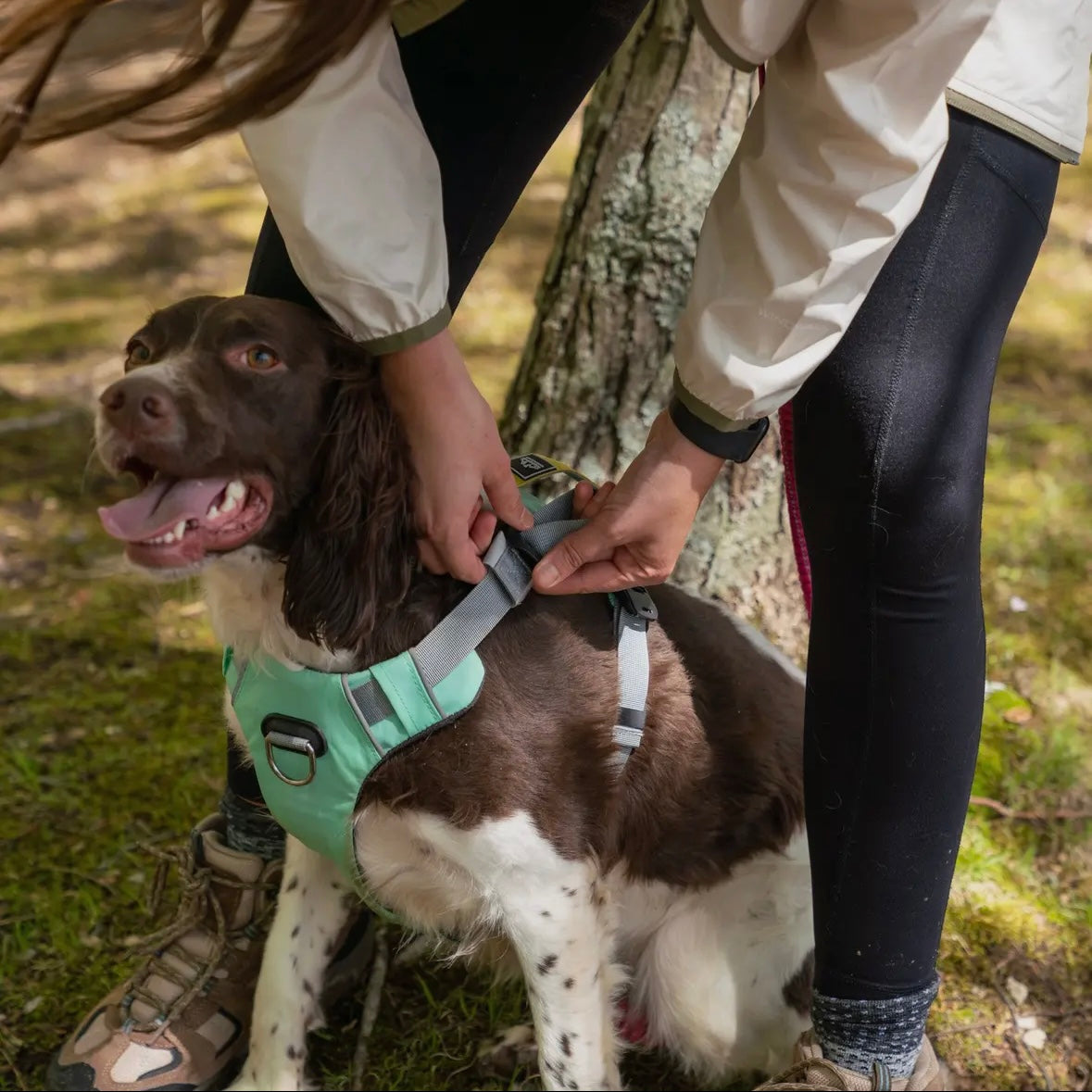 AlphaPak Millvue Riptide EZ Fit™ Dog Harness