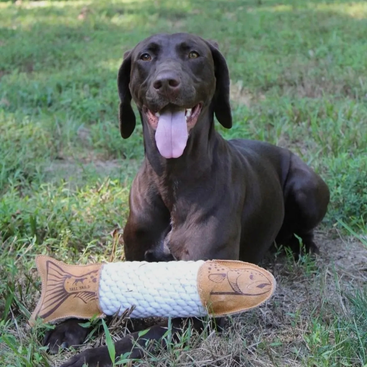 Natural Leather Trout Rope Tug Dog Toy - 15"