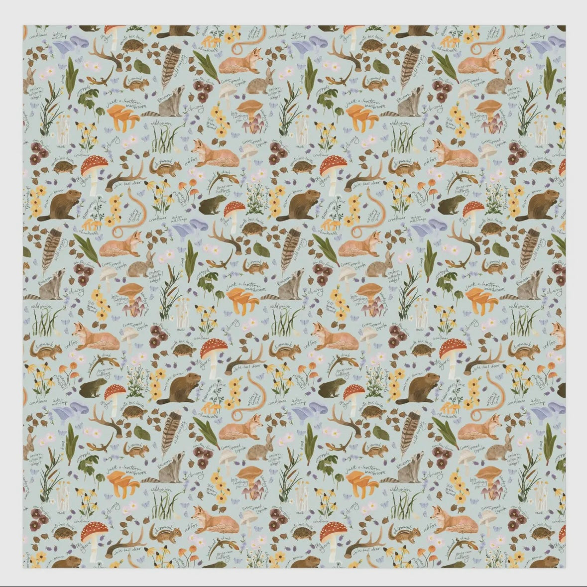 Flora & Fauna Baby Swaddle