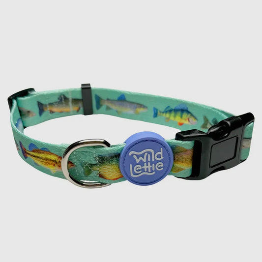 Wild Lettie Fish Collar
