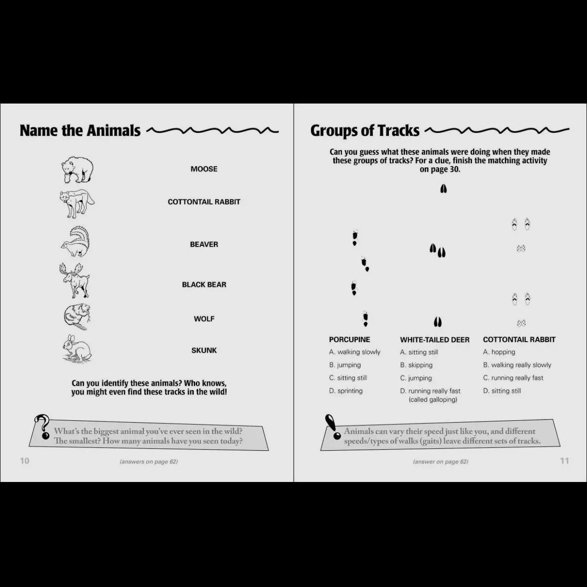 Animal Tracks Activity Book